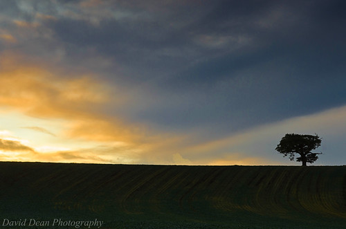 uk morning tree field rural sunrise landscape dawn countryside oak nikon nikkor warwickshire 2011 warks 1685mm d7000 shelfield vrautumn jactoll