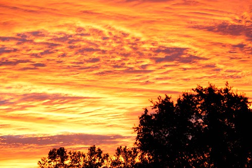 california sunset usa evening day cloudy davis yolocounty projectweather