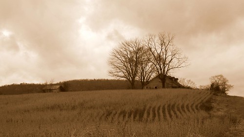 travel white house home clouds photography photo farm tennessee country soybeans blacj