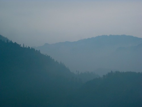 china blue mist mountain fog pine chengdu vista emeishan sichuan shrouded emei
