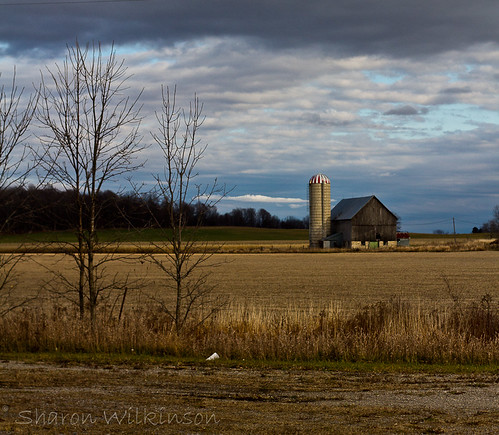 autumn ontario canada fall field barn farm silo greyskies canon50mm grayskies ruralontario newboro niftyfifty lightroom3 canoneos7d canon7d lightroom3processing