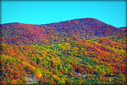 blue autumn trees red orange white black green nature colors yellow digital canon outdoors cool warm seasons ridge parkway