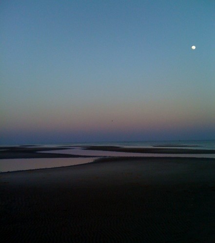 moon beach night mississippi evening gulfcoast