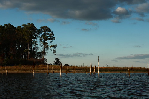 lake landscape texas tx stumps