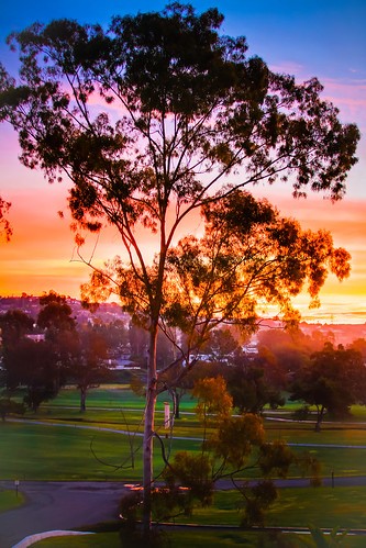 california ca beautiful sunrise golf happiness resort workshop enlightenment carlsbad affluence empowerment lacosta deepakchopra chopracenter synchrodestiny tcmorgan