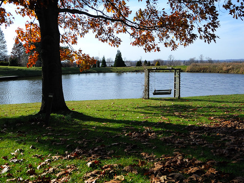 november autumn trees ohio plants color fall water warm day arboretum clear heath oh dawes 2011