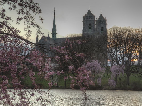 park cherry branch cathedral blossoms nj christian brook newark hdr
