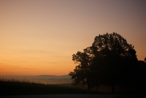 autumn mist sunrise pennsylvania valleyforgenationalhistoricpark leicam8 leicasummicronm35mmf2asph