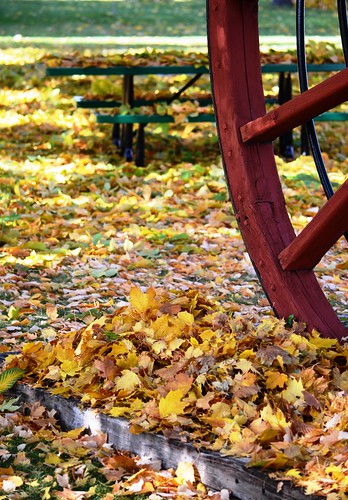 fall oregon foliage basecampbaker “bakercounty” “easternoregon” “bakercountytourism” “basecampbaker” ”bakercity” visitbaker