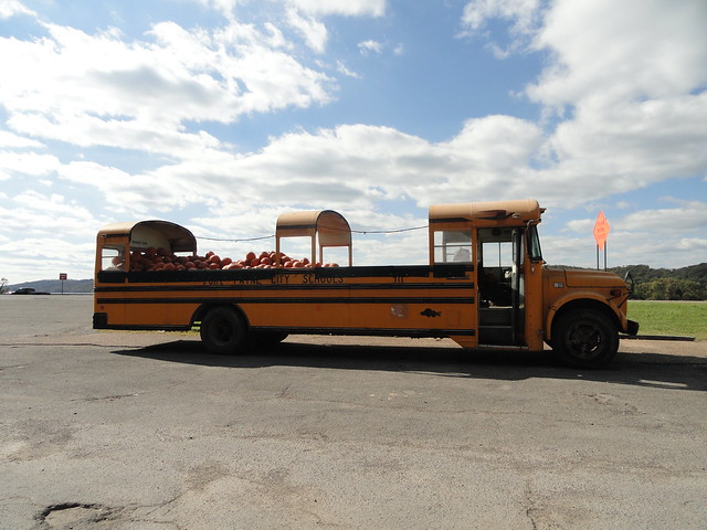 Bus of Pumpkins