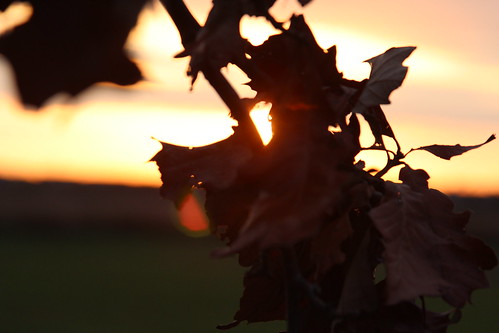 fall sunrise illinois unitedstates champaign 365 eyefi