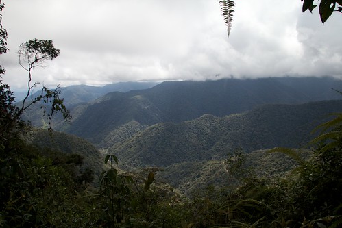 ecuador cloudforest