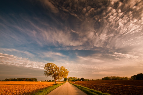 road light shadow wallpaper sky usa tree field wisconsin clouds rural landscape photography countryside photo highway midwest image horizon country may picture american northamerica oaktree canonef1740mmf4lusm countryroad goldenhour lonetree dunkirk 2011 cooksville canoneos5d danecounty lorenzemlicka