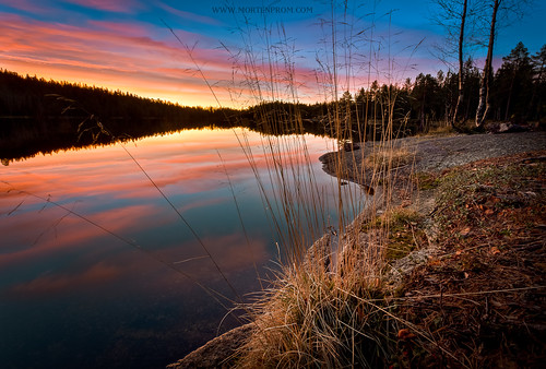 morning lake grass norway sunrise norge skandinavien norwegen noruega scandinavia noreg skandinavia 2011 ef1740mmf4lusm canoneos5dmarkii mortenprom