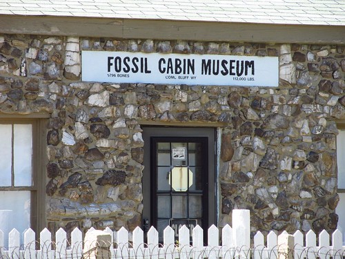 building museum architecture cabin dinosaur roadtrip bones wyoming roadsideamerica lincolnhighway medicinebow fadingamerica fossilcabin