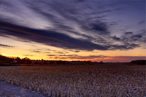 cornfield nebraska sunsrise