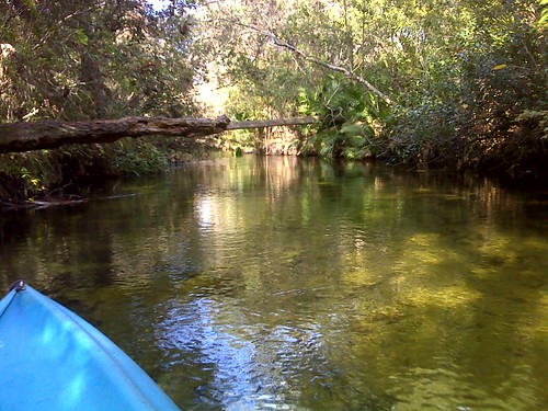 fall geotagged stream florida springs kayaking paddling ocalanationalforest garmin junipersprings oregon550