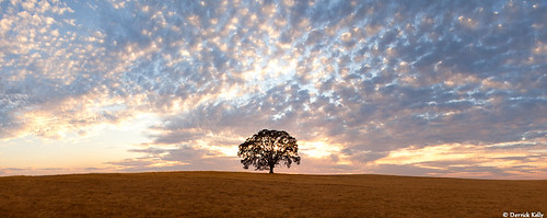 sunset clouds rural landscape sacramento oaktree consumnesriver 5d2 5dii michiganbarroad canon5d2