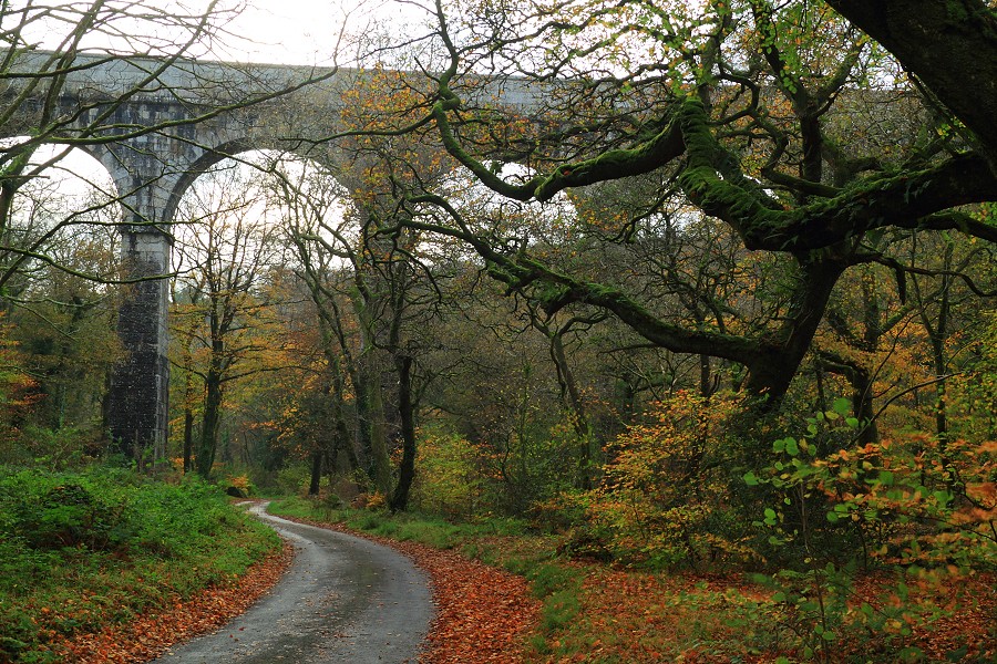 Luxulyan Railway Station - Cornwall, England - Around Guides