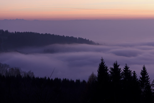 fog clouds forest oberösterreich eidenberg