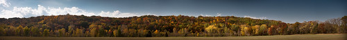 trees panorama fall field minnesota mn 2011 canon40d