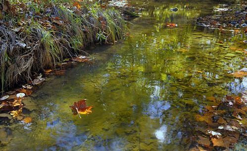 sun snow reflection wheel fence wagon leaf moss sand nikon colorful stream pattern creative kansas ripples majestic flinthills kansasriver