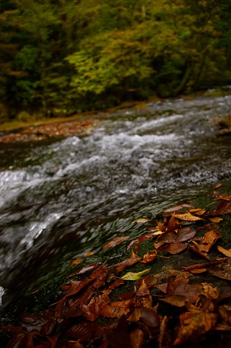 autumn japan river pentax kr kumamoto