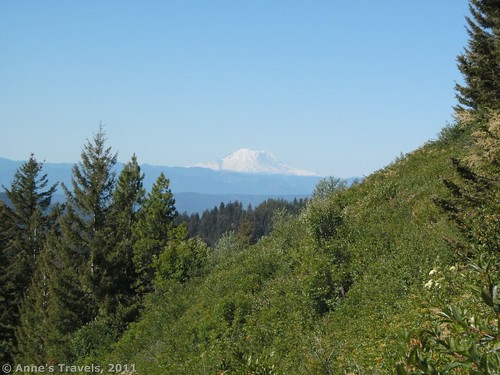 Mt. Rainier from Teanaway Ridge, Okanogan-Wenatchee National Forest, Washington