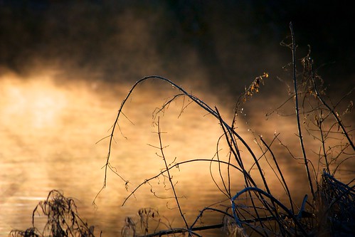 morning mist cold water river dawn buckingham greatouse