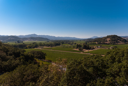sanfrancisco california unitedstates valle vineyards valley napa silverado viñedos