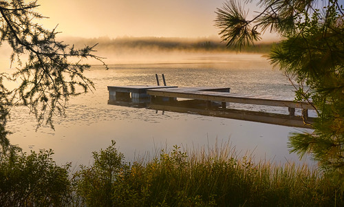 lake fog sunrise dock