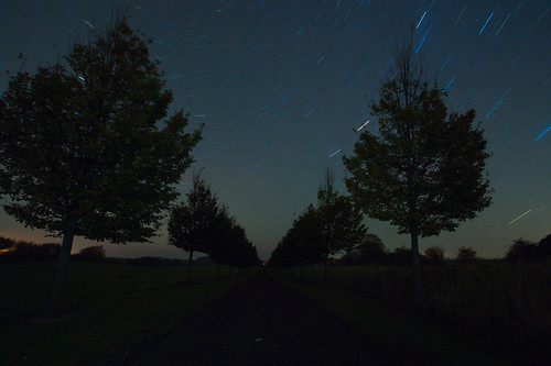 road tree night denmark star trails avenue mathias laugesen