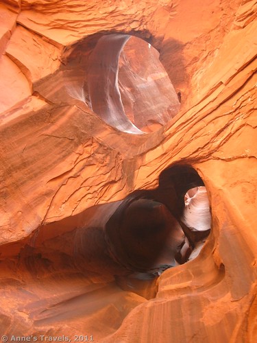 Looking up into the potholes of Neon Canyon, Grand Staircase-Escalante National Monument, Utah