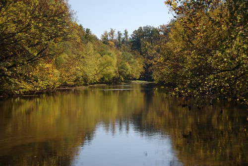 trees reflection water virginia nikon fallcolors va salem roanokeriver d60 salemva nikond60