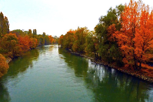vienna wien autumn trees fall water colors reflections river geotagged austria herbst danubecanal mygearandme mygearandmepremium