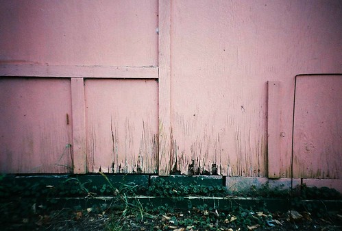 pink autumn fall film wall analog 35mm october lomolca fujisuperia400 2011 crescentavenue eauclairewisconsin shawtown
