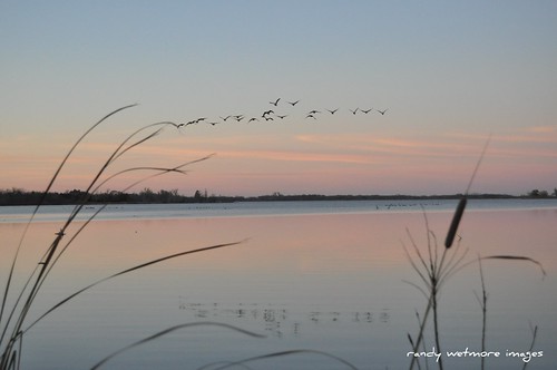 sunset lake reflection water geese nikon kansas d90