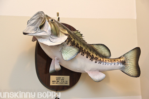 mounted bass fish in office
