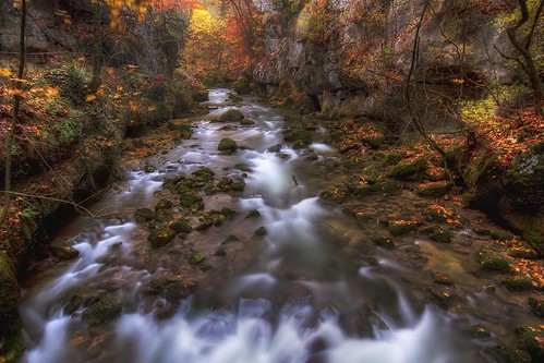 autumn fall nature water colors rock forest automne canon river season photography eos schweiz switzerland photo waterfall eau long exposure suisse pierre couleurs swiss riviere sigma wideangle 7d 1020mm gorges cascade foret chute hdr rocher saison photomatix taubenloch philippesaire
