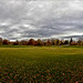 East Meadow Central Park Fall Afternoon