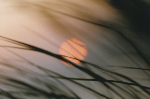 sunset sun abstract film grass canon sand ae1 dunes 8x10 lakemichigan prints canoscan indianadunes printscan kodaksafteyfilm