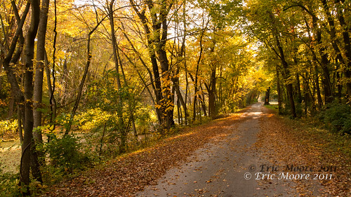 camera usa canon lens illinois place cities equipment utica towpath efs1785f456isusm eosdigitalrebelxti geo:state=illinois camera:make=canon exif:make=canon exif:iso_speed=400 exif:focal_length=24mm camera:model=canoneosdigitalrebelxti geo:countrys=usa exif:model=canoneosdigitalrebelxti exif:lens=efs1785mmf456isusm exif:aperture=ƒ80 geo:lat=4133503573953 geo:lon=89003025967266 geo:city=utica