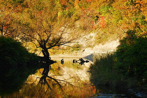 light sunset lake ny newyork reflection tree fall nature water colors silhouette creek mouth landscape fossil buffalo stream autum hunting upstate niagara foliage western erie 18 region mile eighteen