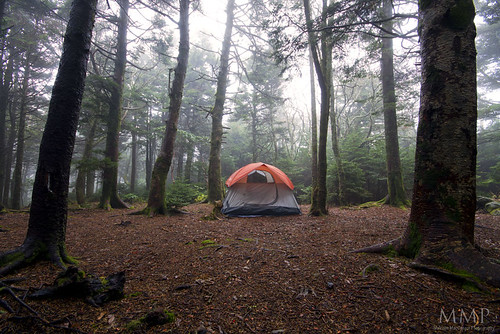 camping trees mist weather fog forest woods tent adventure appalachiantrail outdooractivity roanhighknob