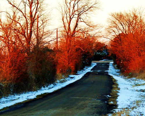 road trees sunset snow rural lane huntcounty commercetexas