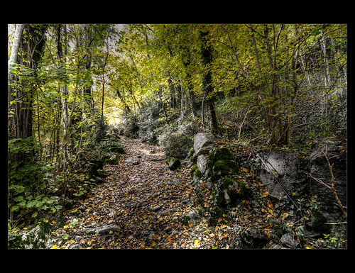 autumn forest nikon camino path sigma bosque otoño 1020mm bosc tardor villanova camí valledebenasque valldebenasc d300s ballbenàs caminodelforo