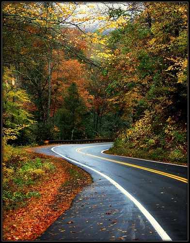 trees mountains fall colors leaves landscapes scenery curves northcarolina highland roads tpslandscape