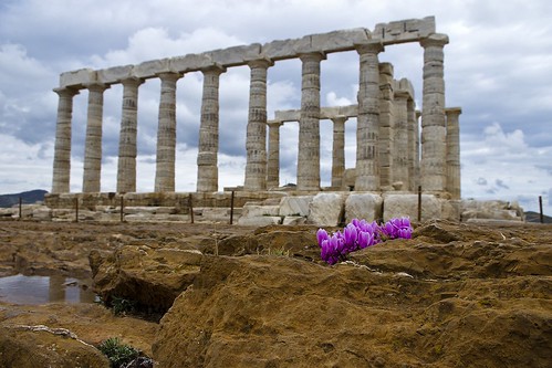 pink flowers sky heritage water rock clouds temple greece marble endurance sounion cloudysky refelction cyclamens pentaxkx sounio ancienttemple