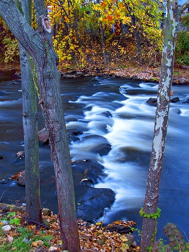 autumn trees fall water river flow rocks timeexposure
