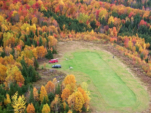 autumn trees green fall airport wings novascotia view fallcolors aerial farmland fields aerialphoto pilot antigonish nspp antigonishcounty